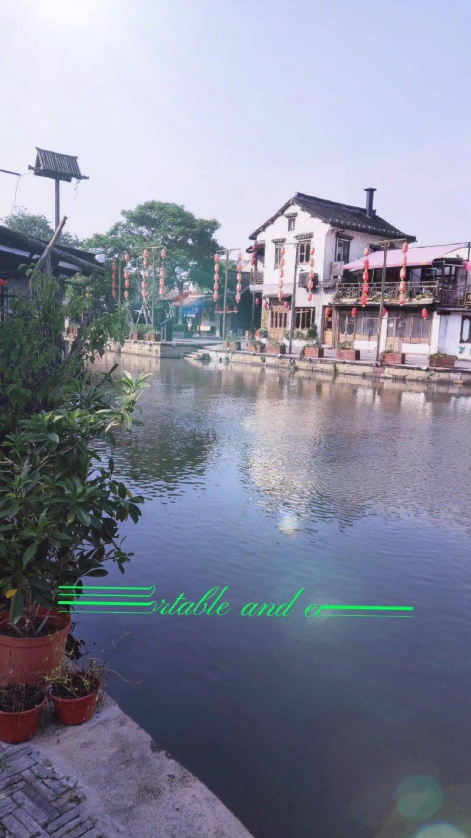 救援紫色生物